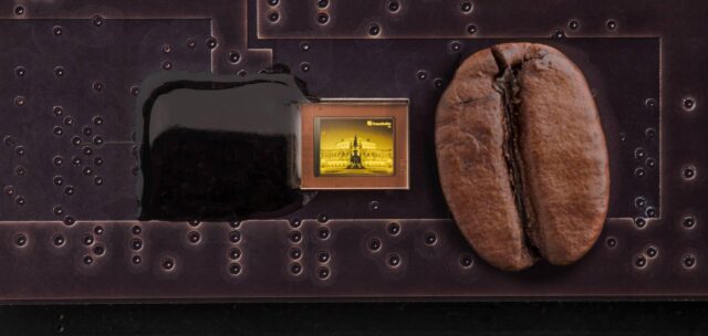 Size comparison of the new backplane with a coffee bean